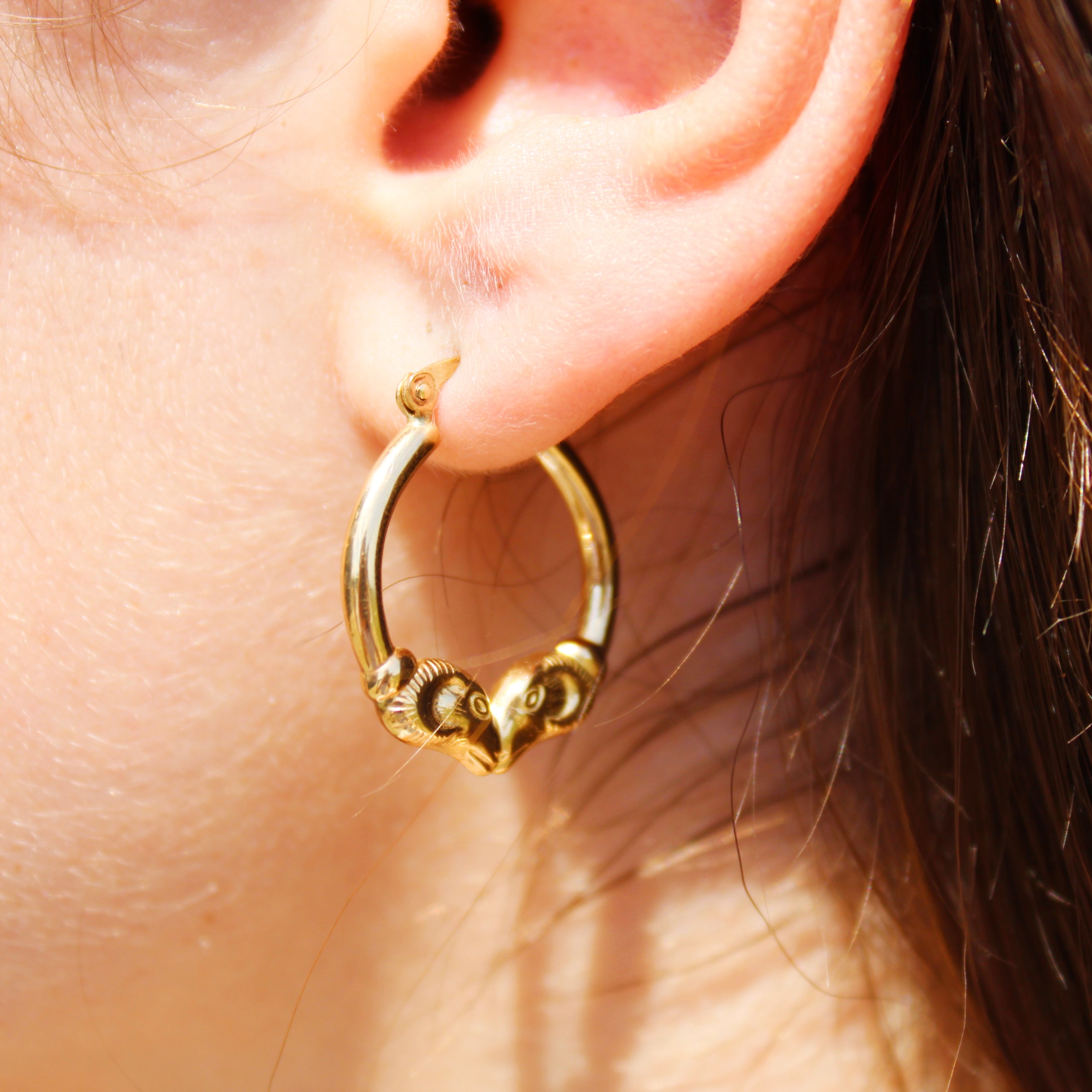 Classic 14k Yellow Gold Rams Head Hoop Earrings